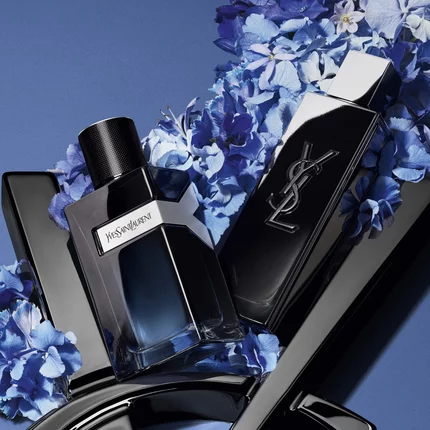 DIA DOS PAIS YSL