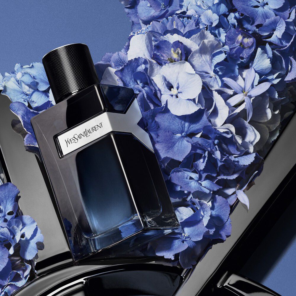 DIA DOS PAIS YSL
