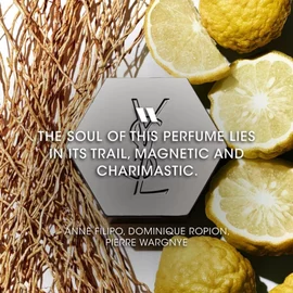L'HOMME EAU DE TOILETTE YSL PERFUME MASCULINO FRESCO COM BERGAMOTA E FUNDO AMADEIRADO