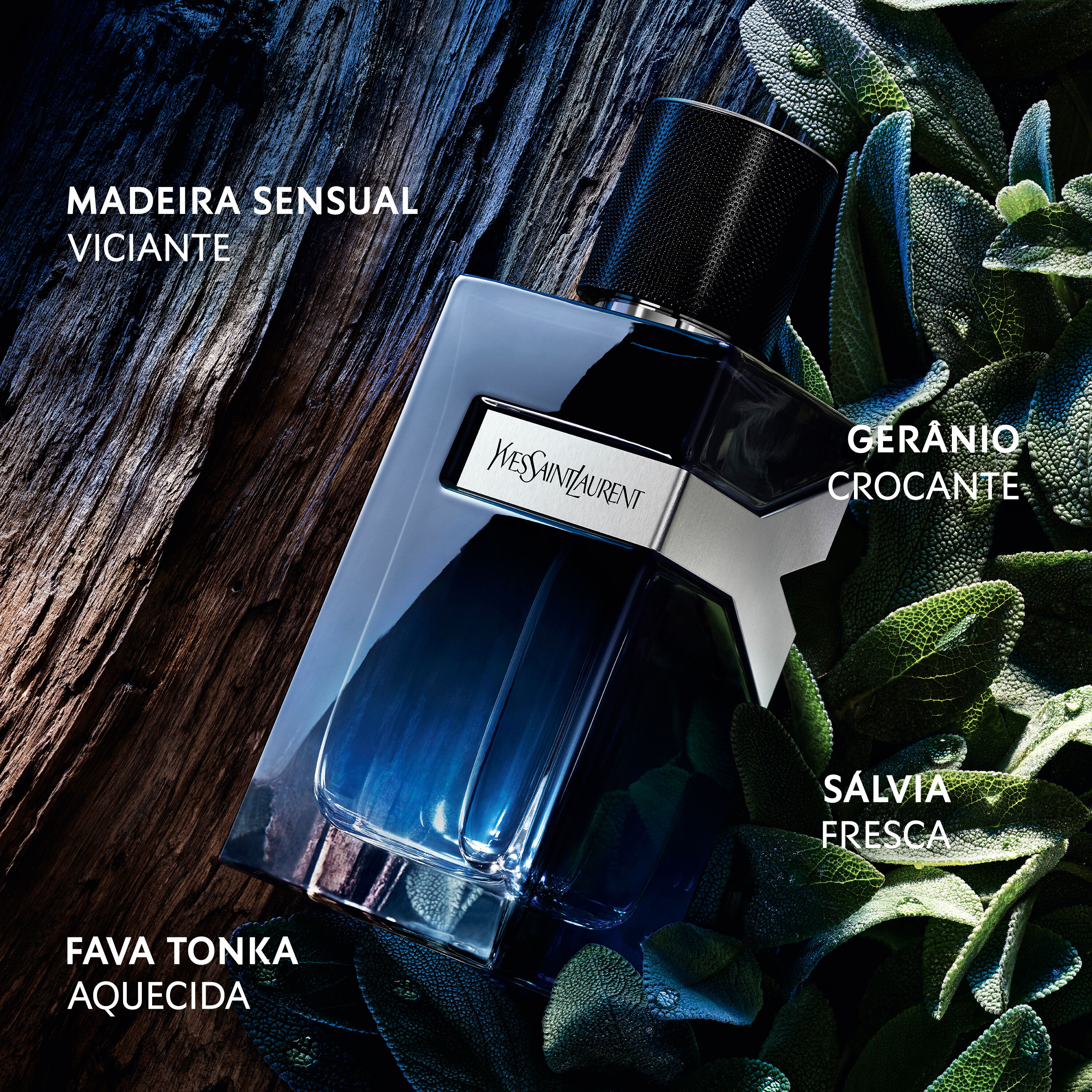 Y EAU DE PARFUM YSL BEAUTY