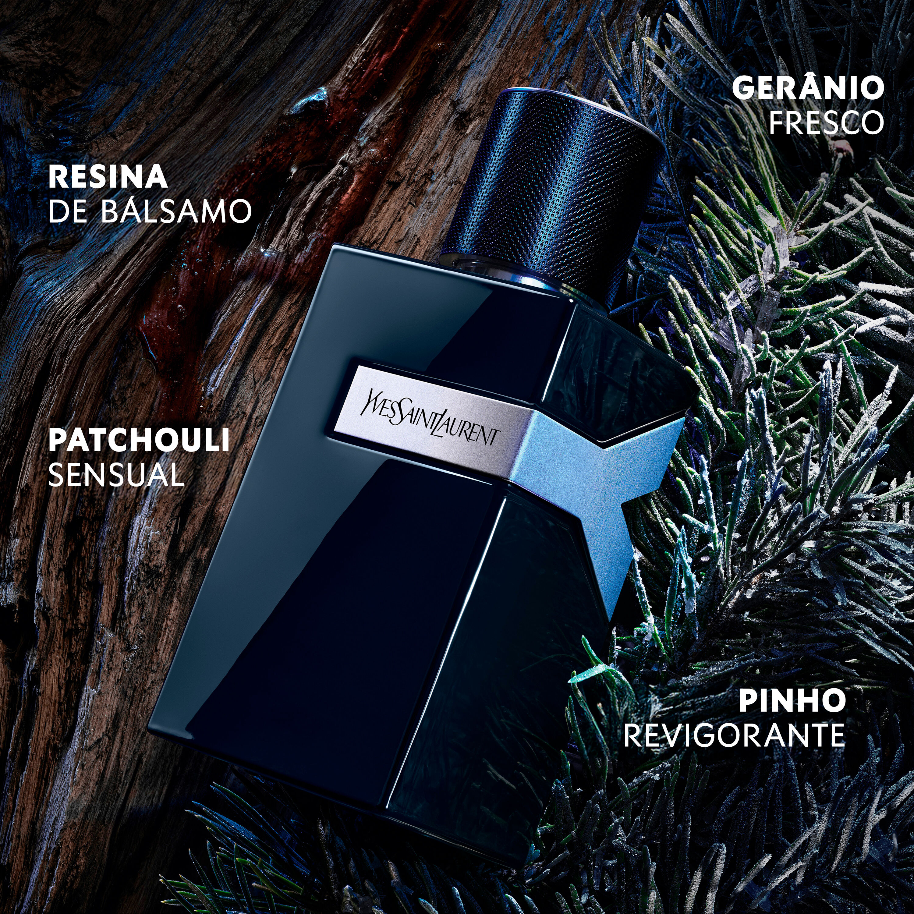 Perfume ambar Y LE PARFUM de YSL Beauty