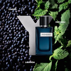 Y Eau de Parfum Intense